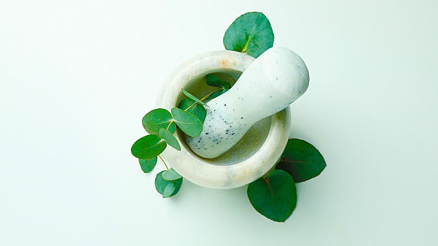 Bem vindo ao nosso website!